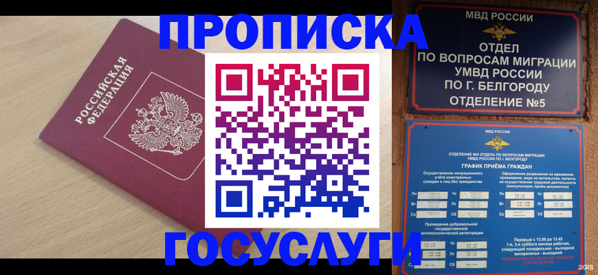 прописка законно в Бавлах